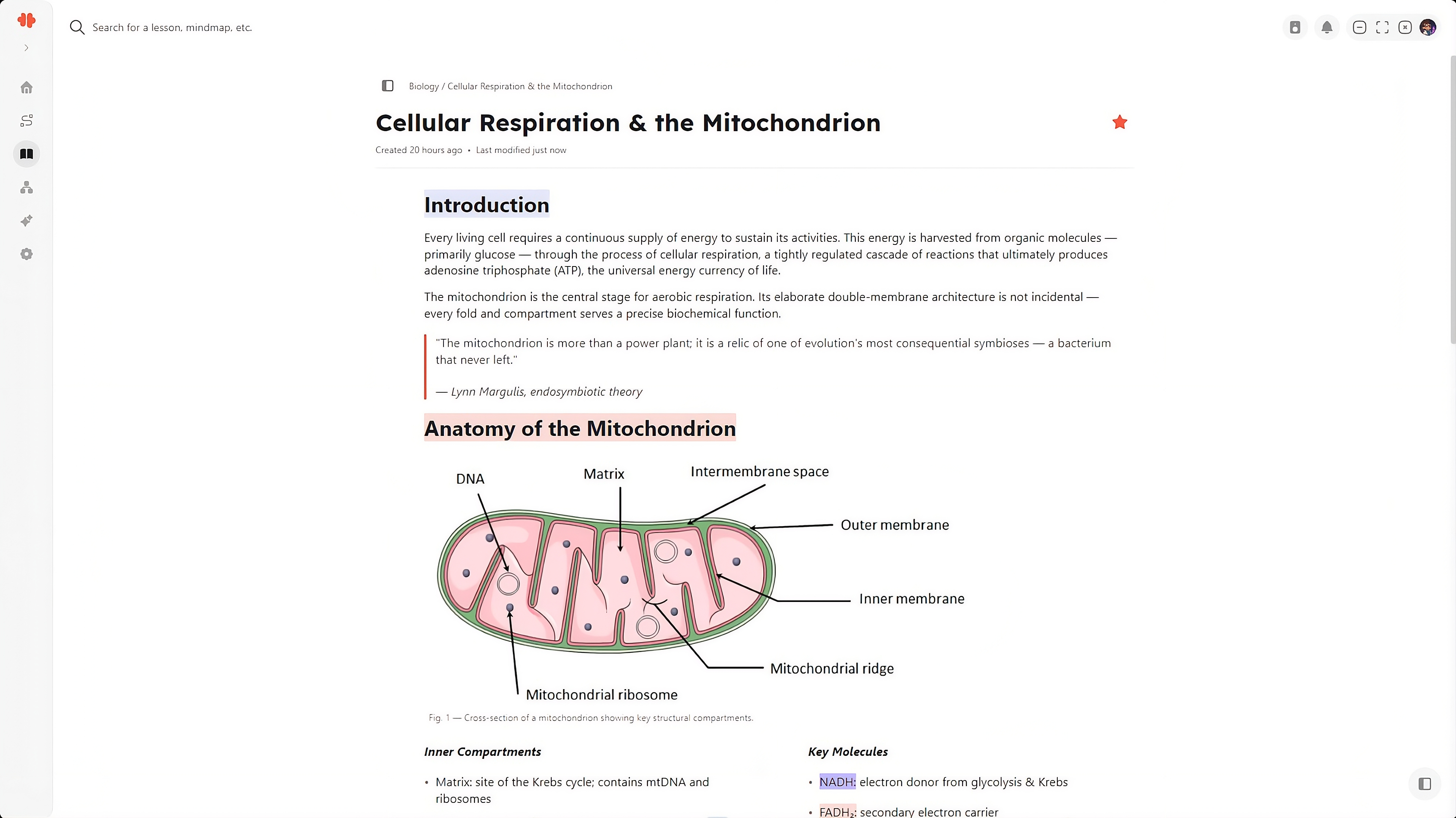 Mnemo notes editor with blocks and formatting